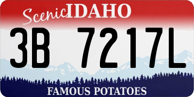 ID license plate 3B7217L