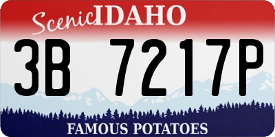 ID license plate 3B7217P