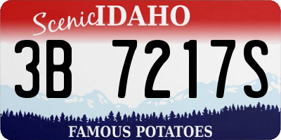 ID license plate 3B7217S