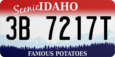 ID license plate 3B7217T