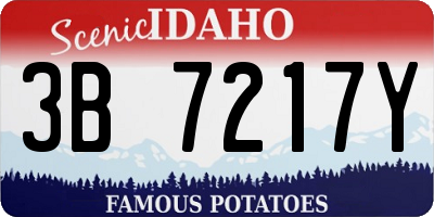 ID license plate 3B7217Y