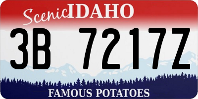 ID license plate 3B7217Z