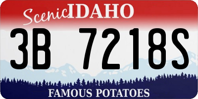ID license plate 3B7218S