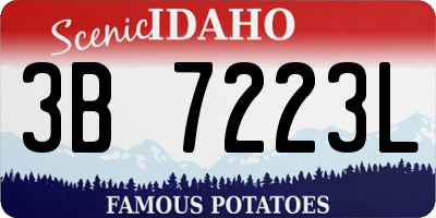 ID license plate 3B7223L