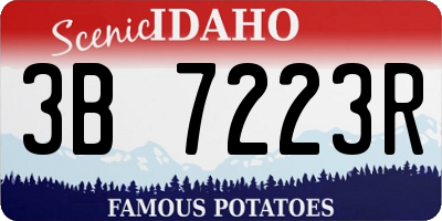 ID license plate 3B7223R