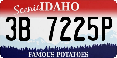 ID license plate 3B7225P