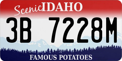 ID license plate 3B7228M