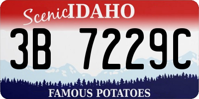 ID license plate 3B7229C