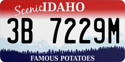 ID license plate 3B7229M