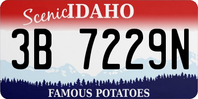 ID license plate 3B7229N