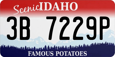 ID license plate 3B7229P