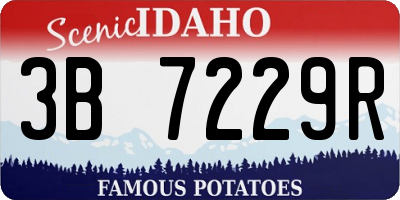 ID license plate 3B7229R