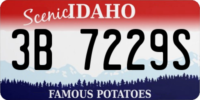 ID license plate 3B7229S