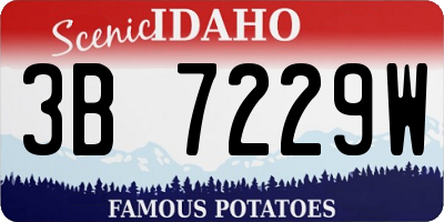 ID license plate 3B7229W