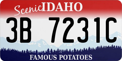 ID license plate 3B7231C