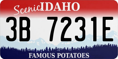 ID license plate 3B7231E