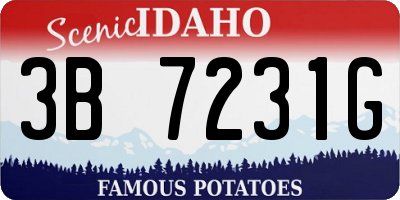ID license plate 3B7231G