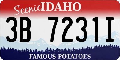 ID license plate 3B7231I