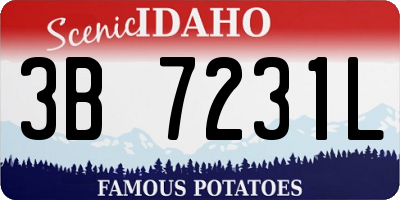 ID license plate 3B7231L
