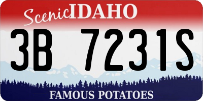ID license plate 3B7231S