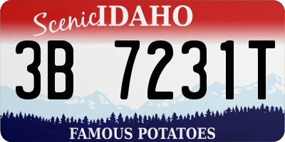 ID license plate 3B7231T