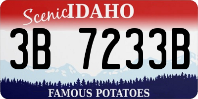 ID license plate 3B7233B