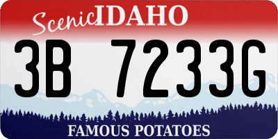 ID license plate 3B7233G