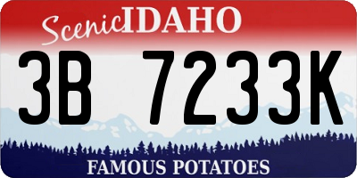 ID license plate 3B7233K