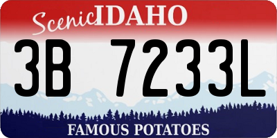 ID license plate 3B7233L
