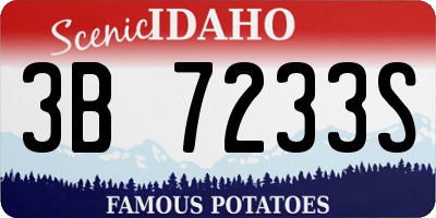 ID license plate 3B7233S