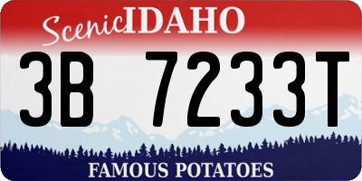 ID license plate 3B7233T
