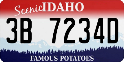 ID license plate 3B7234D