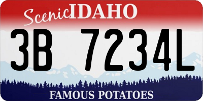 ID license plate 3B7234L