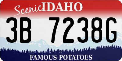 ID license plate 3B7238G