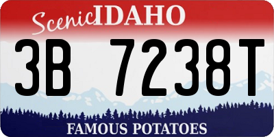 ID license plate 3B7238T