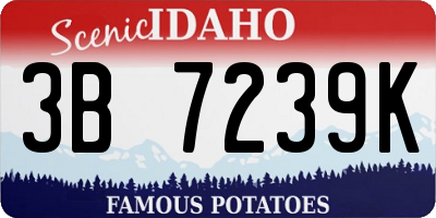 ID license plate 3B7239K
