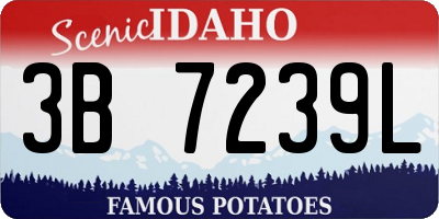 ID license plate 3B7239L