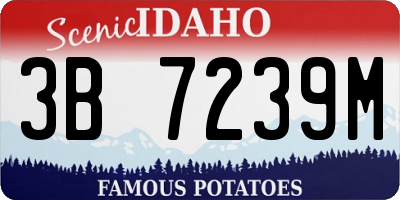ID license plate 3B7239M