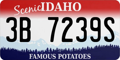 ID license plate 3B7239S