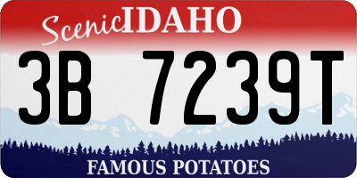 ID license plate 3B7239T