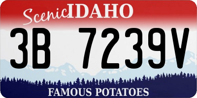 ID license plate 3B7239V