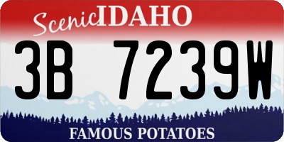 ID license plate 3B7239W