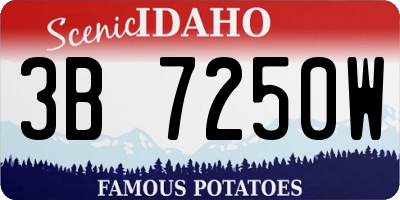 ID license plate 3B7250W
