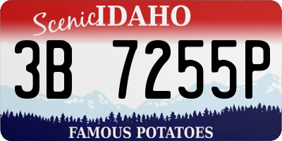 ID license plate 3B7255P