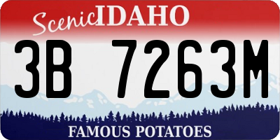 ID license plate 3B7263M