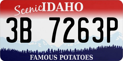 ID license plate 3B7263P