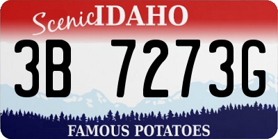 ID license plate 3B7273G