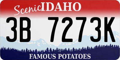 ID license plate 3B7273K
