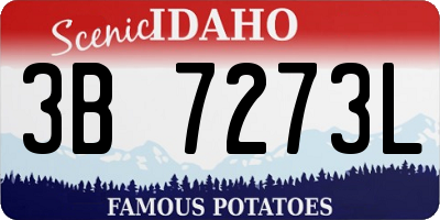 ID license plate 3B7273L