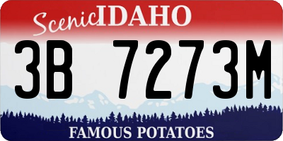 ID license plate 3B7273M
